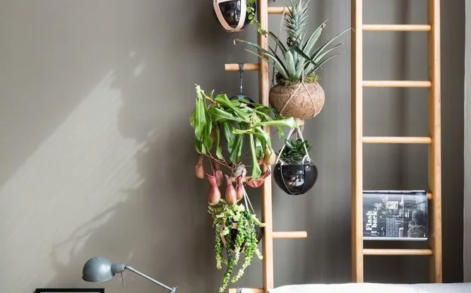 Botanisch groen uit vtwonen