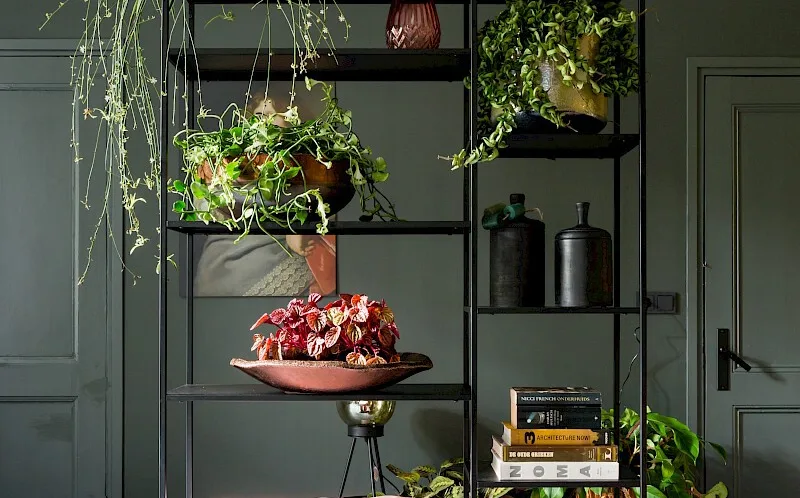 Botanisch groen met planten en groene wand