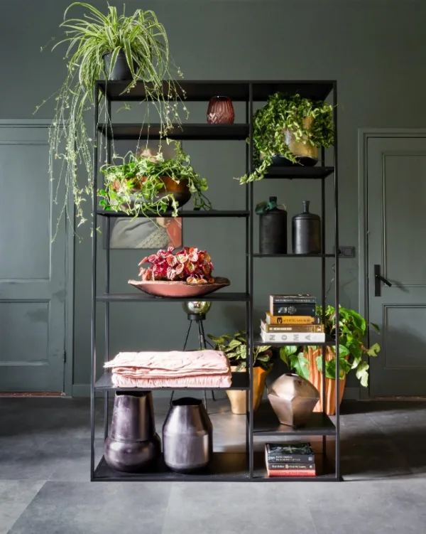 Botanisch groen met planten