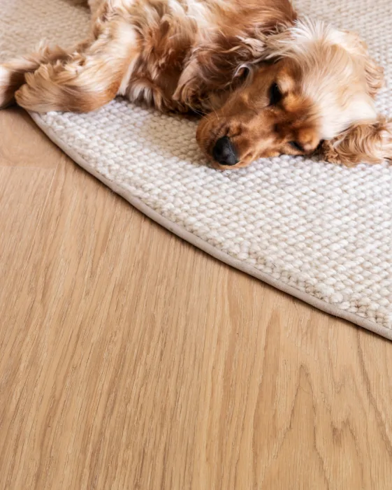 Vloerkleed op parketvloer met hond
