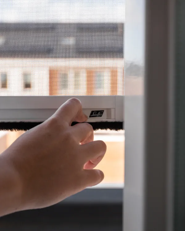 Rolvliegenramen bij Aanhuis