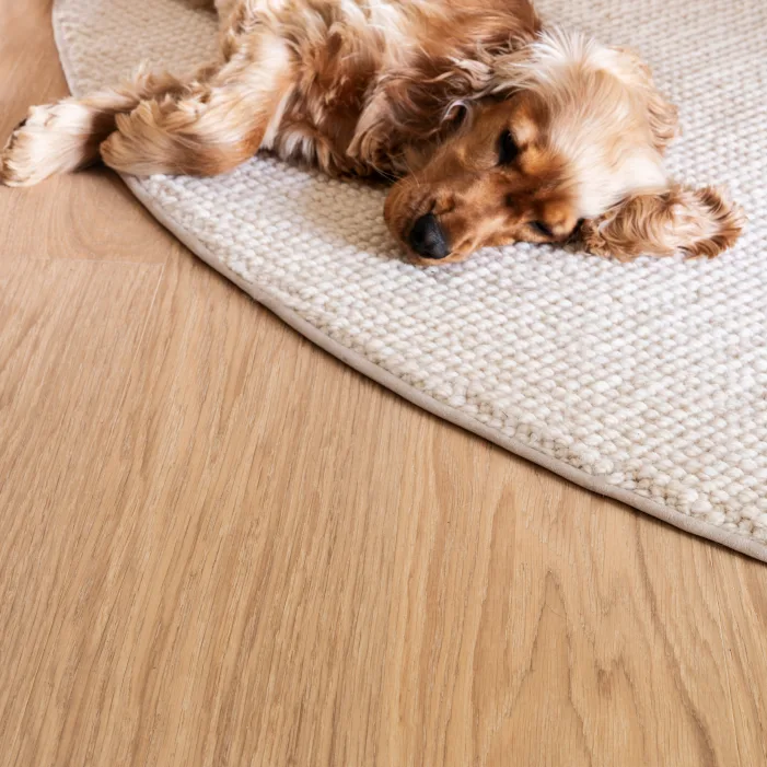 Vloerkleed op parketvloer met hond